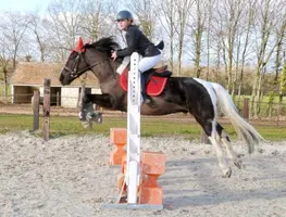 Photo 3