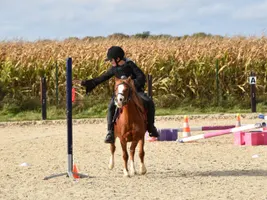 Alyson - DSC_0280
