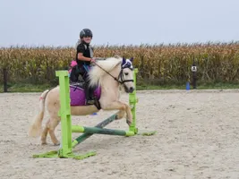 Alyson - DSC_0509