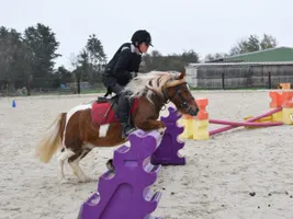 Alyson - DSC_0523