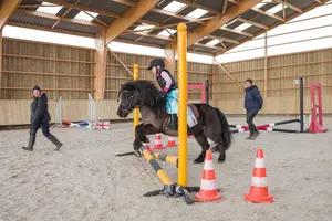 Concours 20190301
