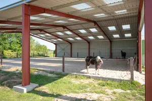 Manège chevaux