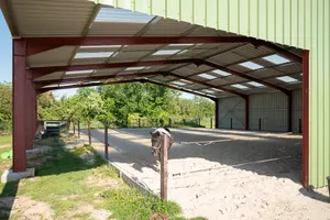 Manège chevaux