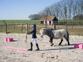 Equifeel Shet Arlange