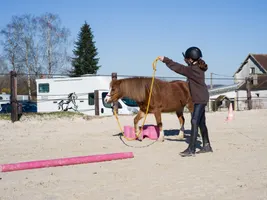 Equifeel Shet Arlange