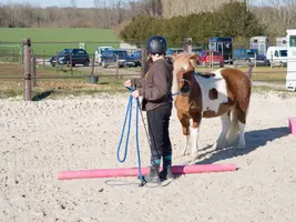 Equifeel Shet Arlange
