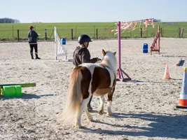 Equifeel Shet Arlange