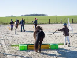 Equifeel Shet Arlange