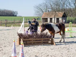 Equifeel Shet Arlange