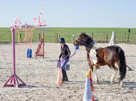 Equifeel Shet Arlange