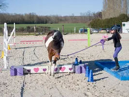 Equifeel Shet Arlange