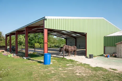 Deux poneys à l’abri sur le sable du manège couvert, ouvert sur les côtés.